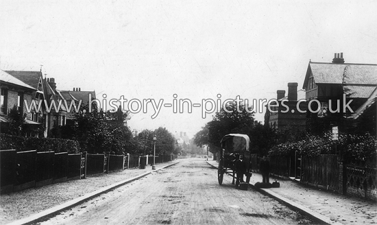 Palmerston Road, Buckhurst Hill, Essex. c.1910